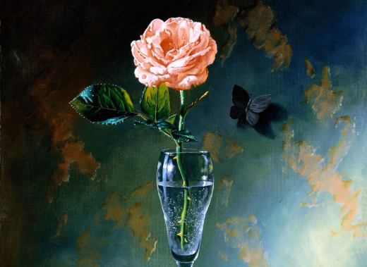 1750657 (a): :1920x1399